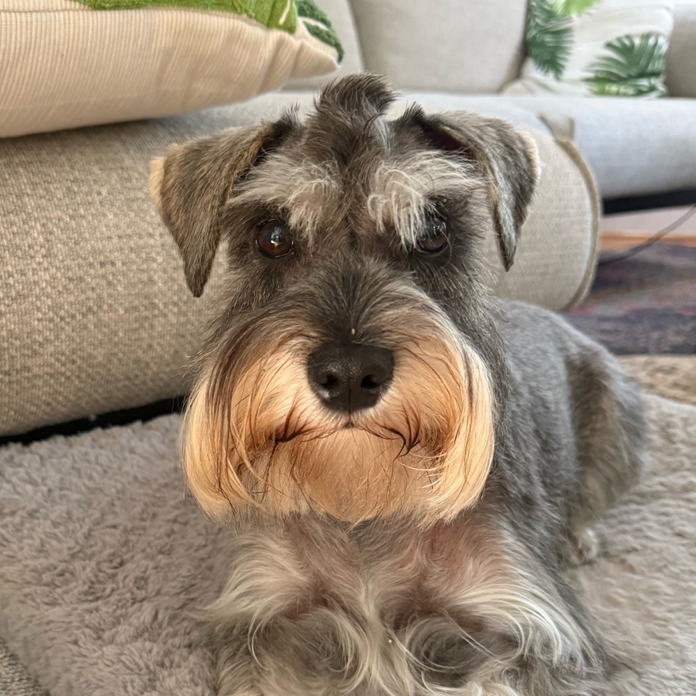 Meet your Posher, Traver